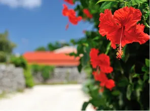 コンセプト02｜【公式】那覇新都心、新築分譲マンション特集