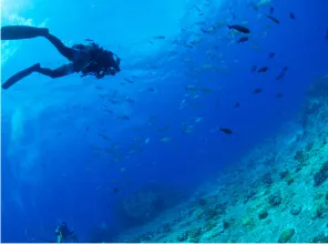 コンセプト03｜【公式】那覇新都心、新築分譲マンション特集